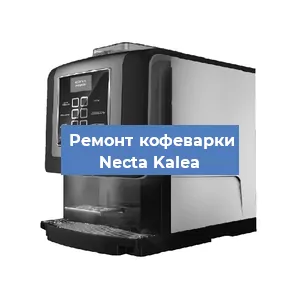 Замена | Ремонт термоблока на кофемашине Necta Kalea в Волгограде